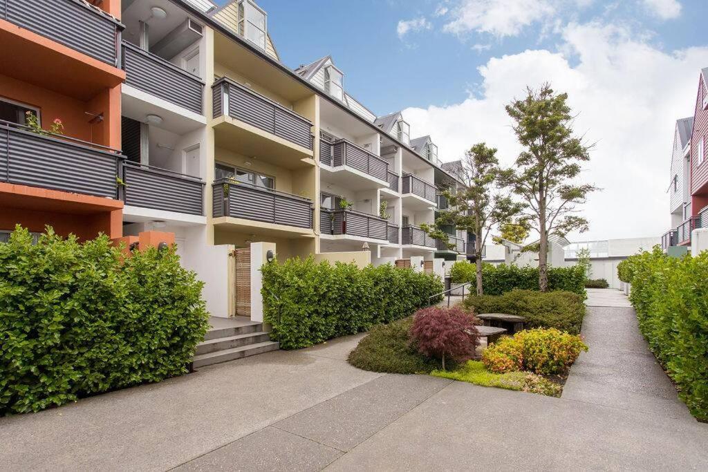 Apartment Warm And Inviting - Free Carpark *